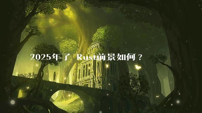 2025年了 Rust前景如何?
