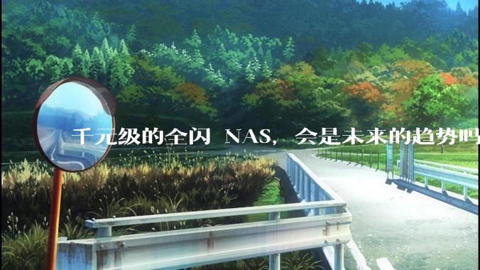千元级的全闪 NAS，会是未来的趋势吗？
