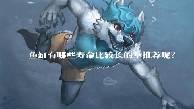 鱼缸有哪些寿命比较长的草推荐呢？