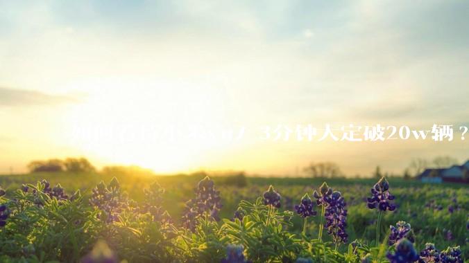 如何看待小米yu7 3分钟大定破20w辆?