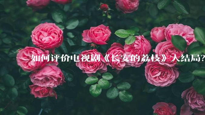 如何评价电视剧《长安的荔枝》大结局？