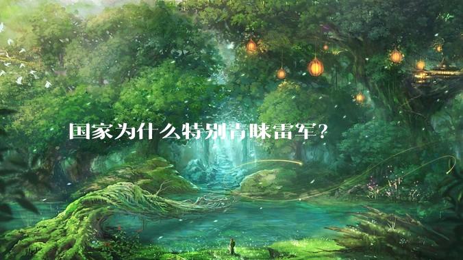 国家为什么特别青睐雷军？