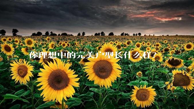 你理想中的完美户型长什么样？