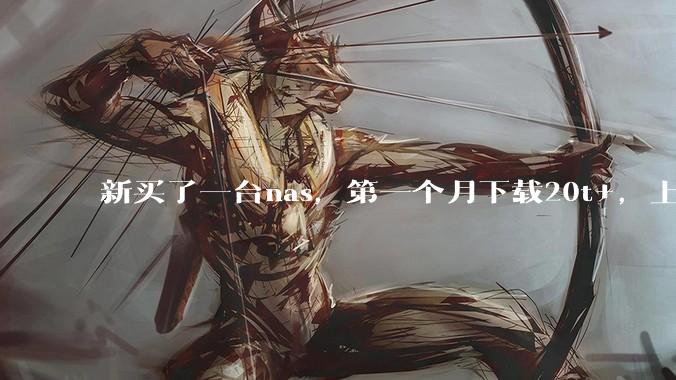 新买了一台nas，第一个月下载20t+，上传5+，不会被网警盯上吧?